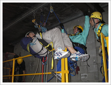 �z�[�����O���X�L���[