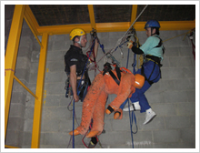 �n���M���O���X�L���[